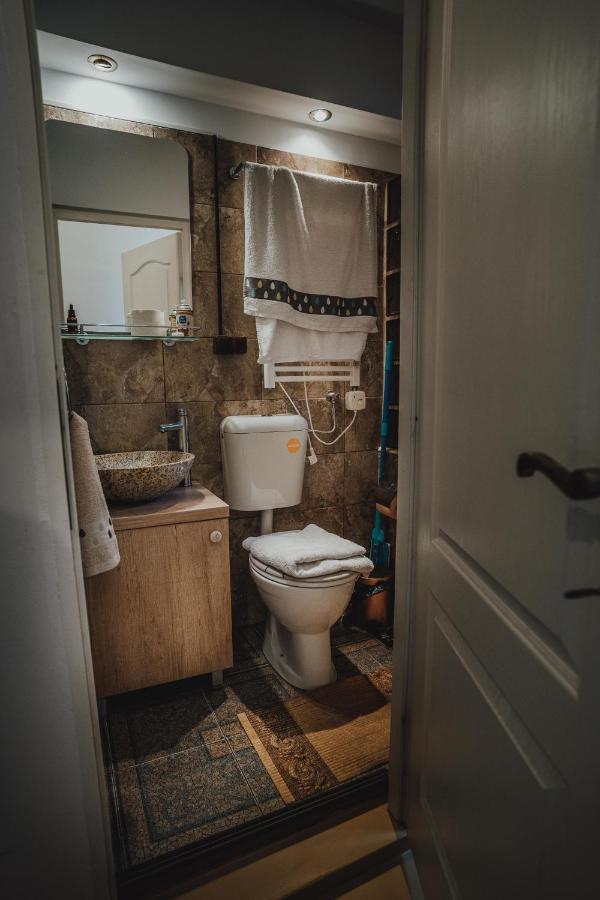 The Downtown Nest Apartment Клуж-Напока Екстериор снимка